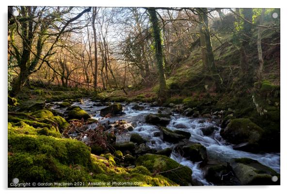 Afon Deri, Cadair Idris, Snowdonia Acrylic by Gordon Maclaren
