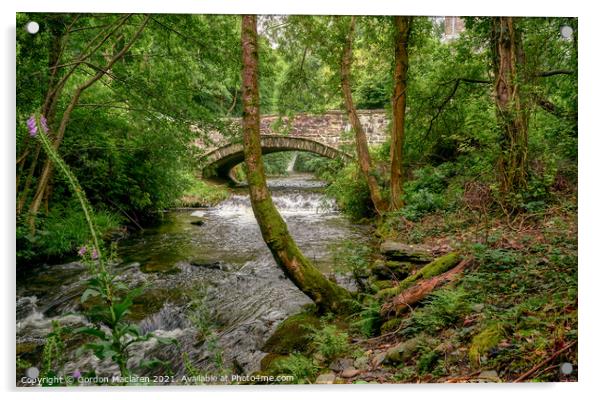 The Afon Einion at Dyfi Furnace Acrylic by Gordon Maclaren