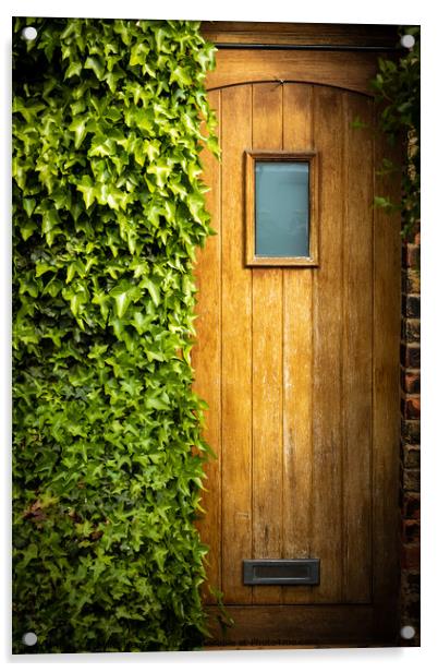 Wooden door half overgrown by ivy Acrylic by Christina Hemsley
