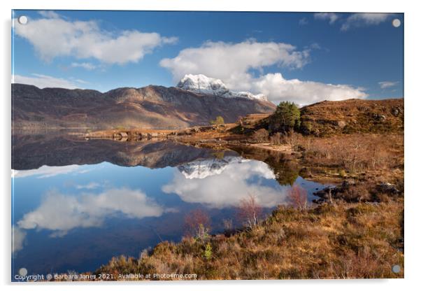 Slioch,  A Sunny Winter Day at Loch Maree  Acrylic by Barbara Jones