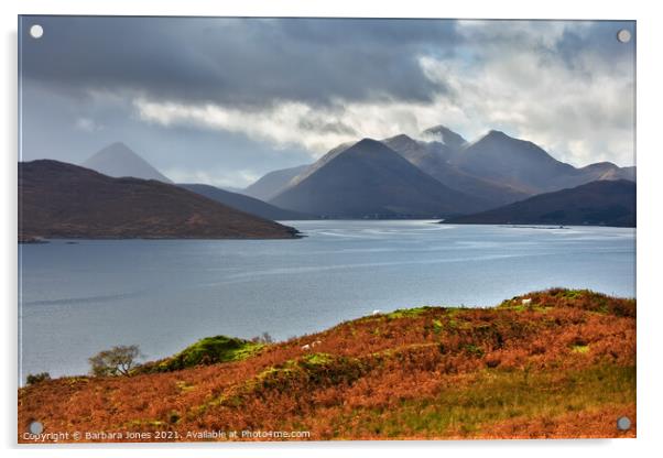 Cuillins of Skye from North Fearns Raasay Scotland Acrylic by Barbara Jones