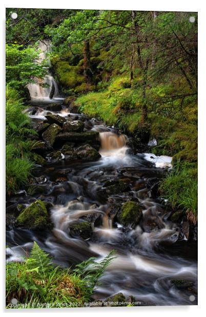 Highland Burn Woodland Waterfall Scotland Acrylic by Barbara Jones