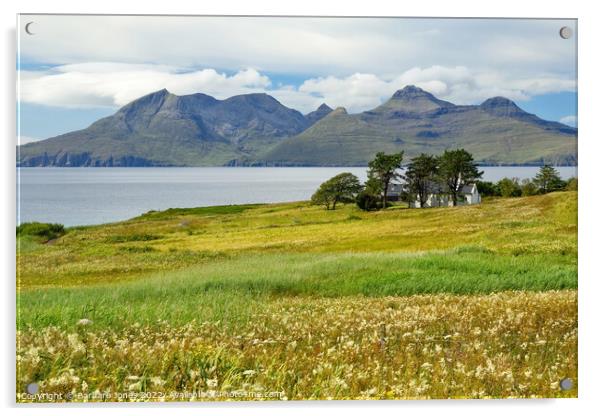 Isle of Eigg, Summer Flowers, Small Isles Scotland Acrylic by Barbara Jones