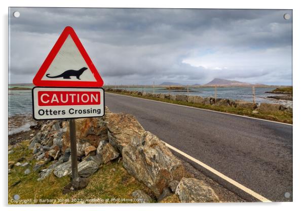 Otters Crossing,  Western Isles Scotland Acrylic by Barbara Jones