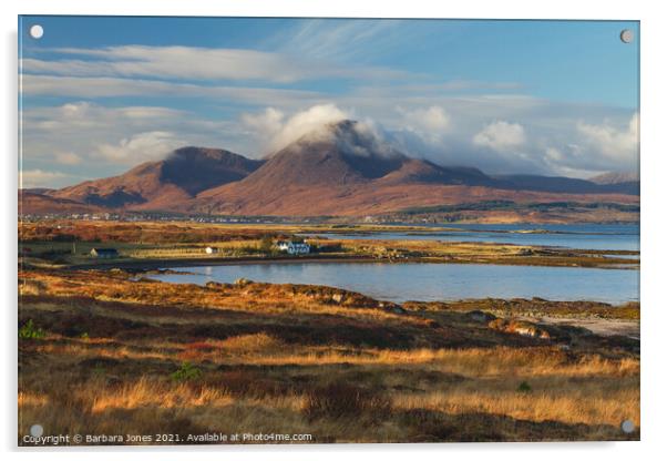 Beinn na Caillich Red Cuillin  Skye Scotland Acrylic by Barbara Jones