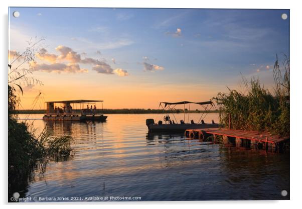 Chobe River Sunset Cruise Botswana Africa Acrylic by Barbara Jones