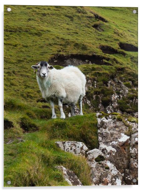Sheep on the Isle of Skye Acrylic by Emma Dickson