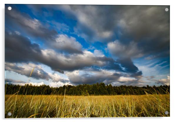 A meadow grass and sky with clouds. Acrylic by Alexey Rezvykh