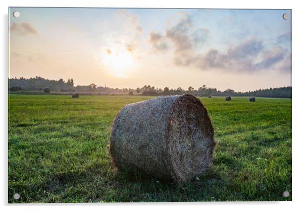 Haystack rolls on field in sunset light. Acrylic by Alexey Rezvykh