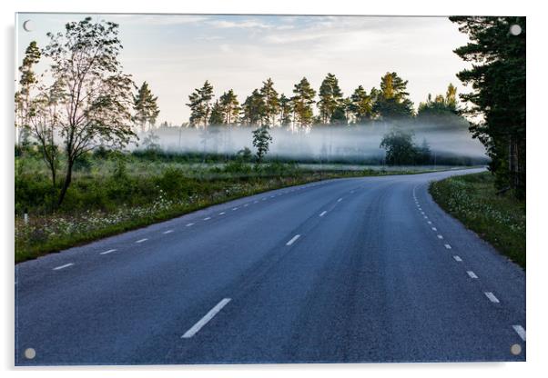 Morning fog on the road Acrylic by Alexey Rezvykh