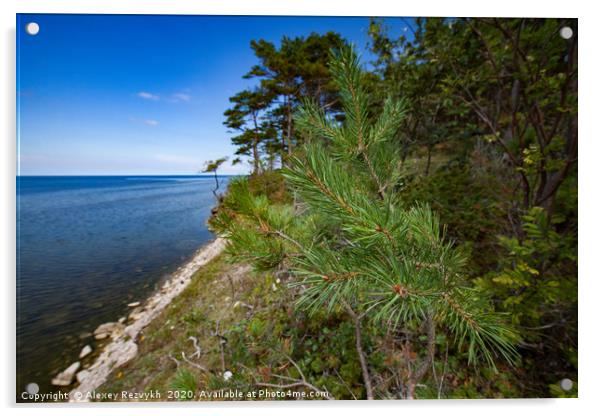 A pine tree over the sea. Acrylic by Alexey Rezvykh