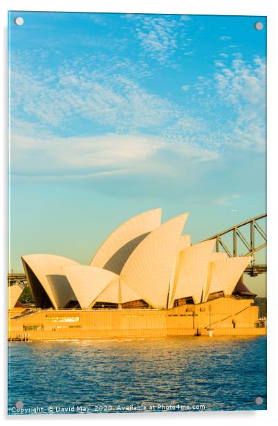 Sydney Opera House. Acrylic by David May
