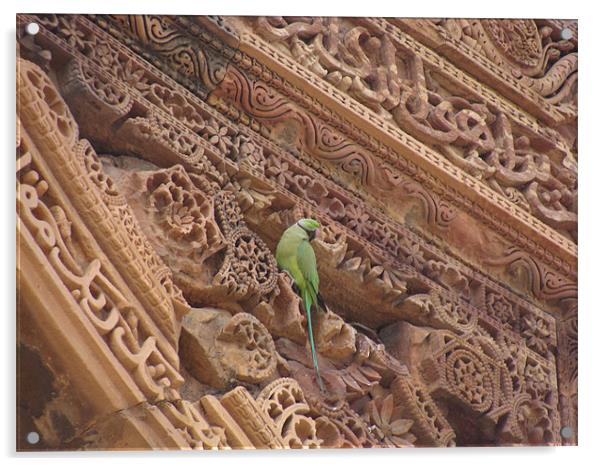 A parrot on top of a beautiful monument  Acrylic by Ankit Mahindroo