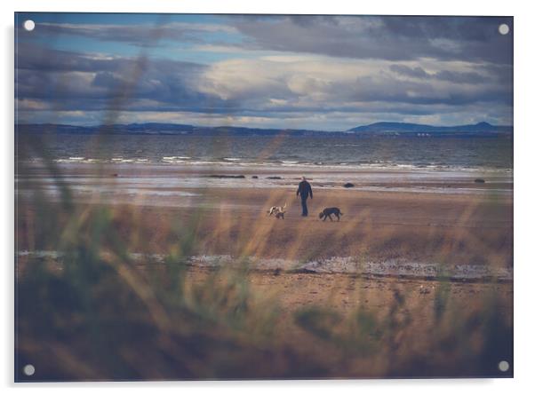 Beach stroll Acrylic by Steven Lennie