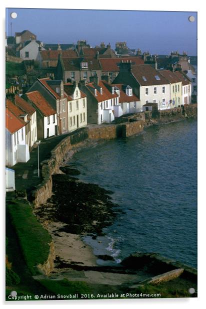 West Shore, Pittenweem Acrylic by Adrian Snowball