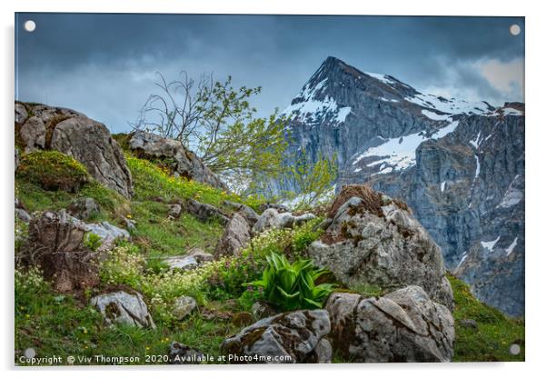 Alpine Wildflower Wonderland Acrylic by Viv Thompson