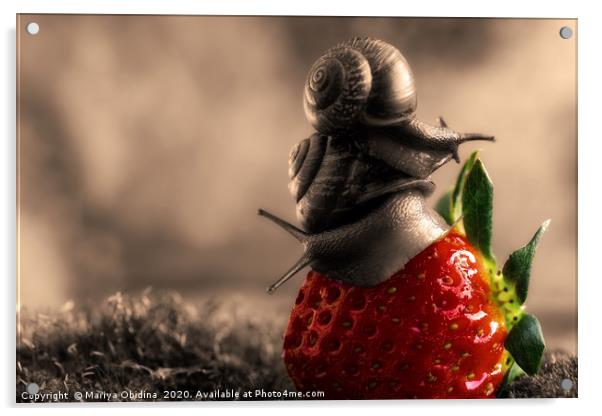 Strawberry accent on black and white photography. Acrylic by Mariya Obidina