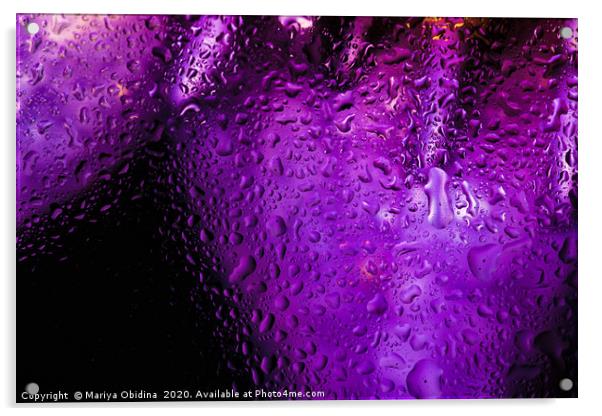 Purple drops Acrylic by Mariya Obidina
