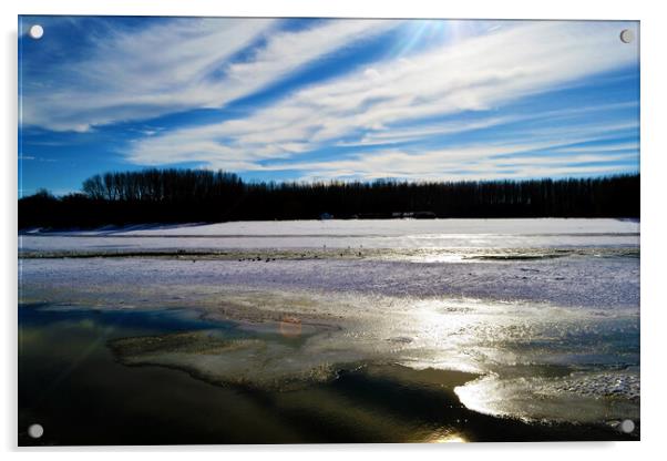 Cold January on the Borcea river Acrylic by liviu iordache