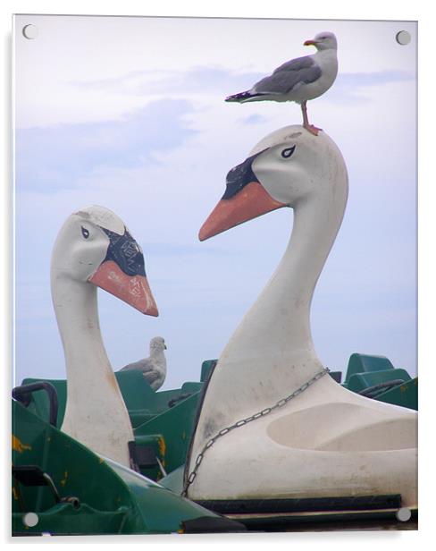 Tynemouth Park lake -2 by 2 - gulls and swan boats  Acrylic by David Turnbull