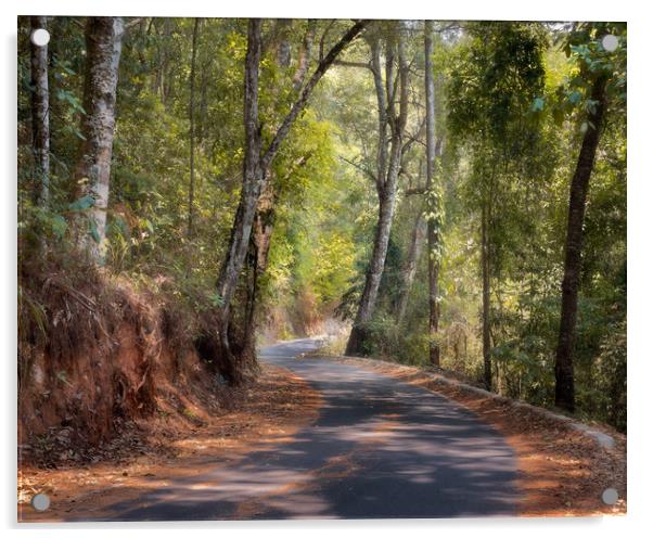 Winding forest road Chiang Mai Thailand Acrylic by Rowan Edmonds