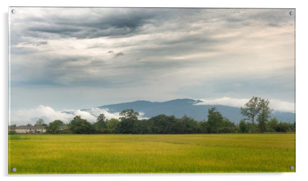Morning Mountain Clouds Chiang Mai Thailand Acrylic by Rowan Edmonds