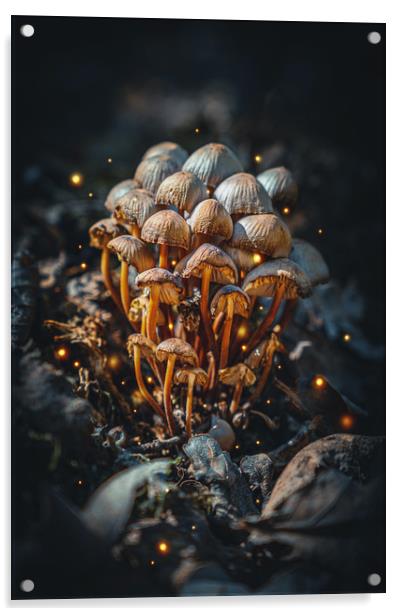 Wild Magic Mushrooms in the Fantasy Forest Acrylic by Ioan Decean