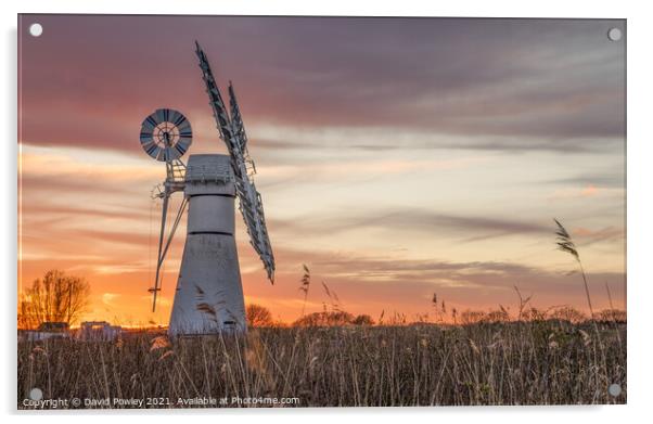 Thurne Mill Sunset Norfolk Broads Acrylic by David Powley