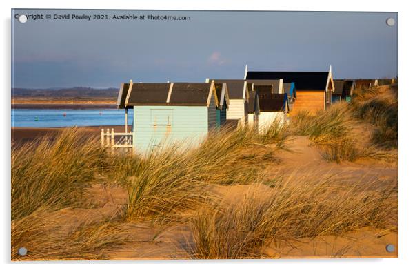 Evening Light on the Beach Huts at Wells  Acrylic by David Powley