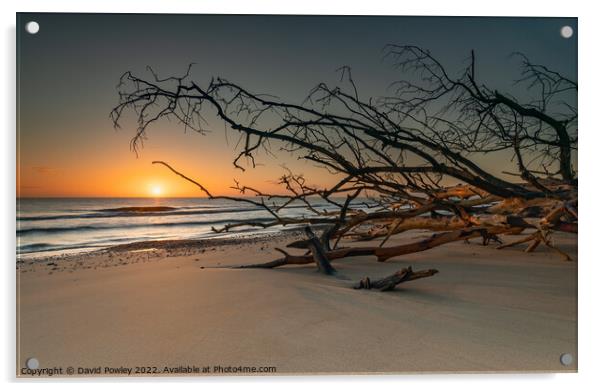 Sunrise on Benacre Beach Suffolk Acrylic by David Powley