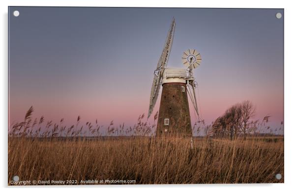 Dawn At Hardley Mill  Acrylic by David Powley