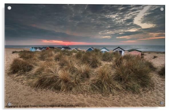 Beach Hut Sunrise on Southwold Beach Acrylic by David Powley