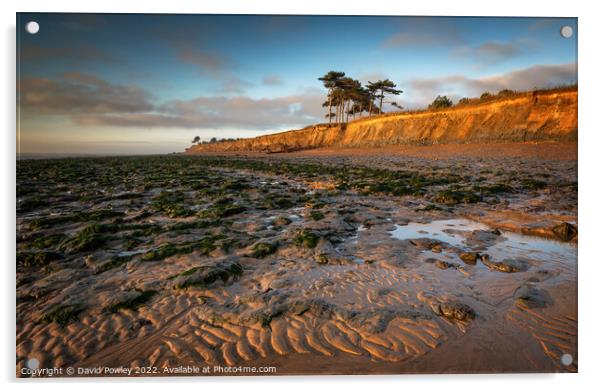 Sunrise Glow on Bawdsey Beach Acrylic by David Powley