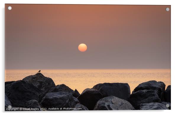 September Sunrise on Hopton Beach Acrylic by David Powley