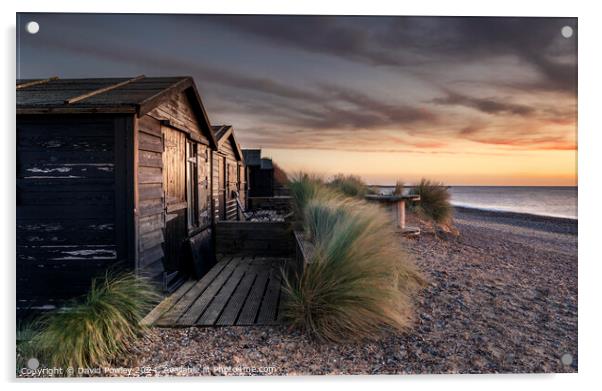 Walberswick Beach Huts At Sunrise Acrylic by David Powley