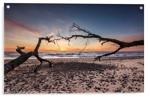 Covehithe Beach at Sunrise Acrylic by David Powley