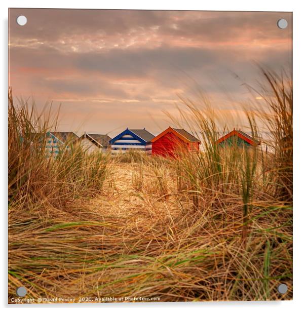 Southwold Beach huts at dawn Suffolk Acrylic by David Powley
