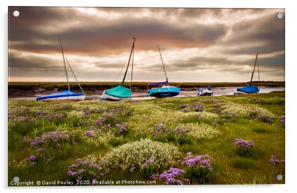 Sea Lavender and boats at Blakeney Acrylic by David Powley