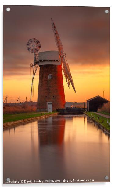 Winter sunset over Horsey Mill Acrylic by David Powley