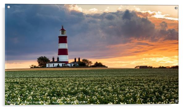 Summer sunset at Happisburgh Lighthouse Acrylic by David Powley