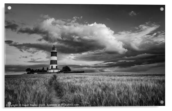 Evening light at Happisburgh Lighthouse Monochrome Acrylic by David Powley