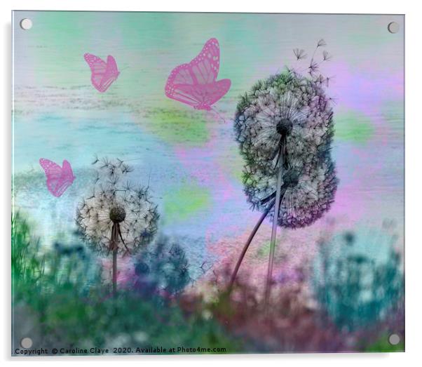 Dandelion Fantasy Acrylic by Caroline Claye