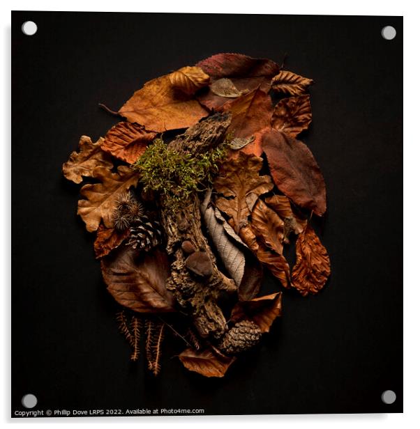 Textures from the woodland floor Acrylic by Phillip Dove LRPS