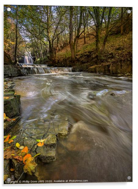 Bowlees in Autumn Acrylic by Phillip Dove LRPS