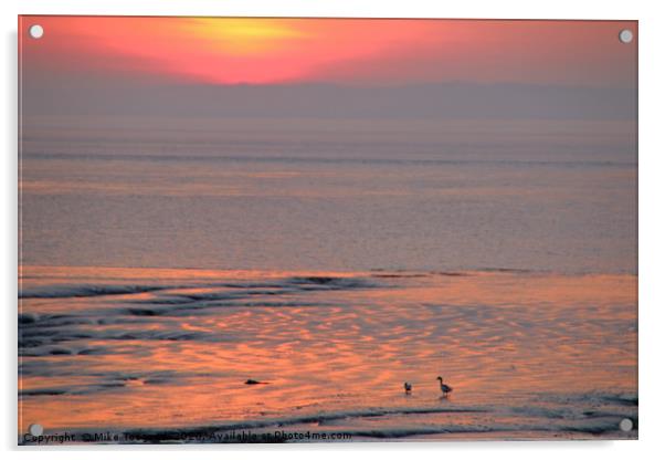 Bristol Channel at sunset Acrylic by Mike Toogood