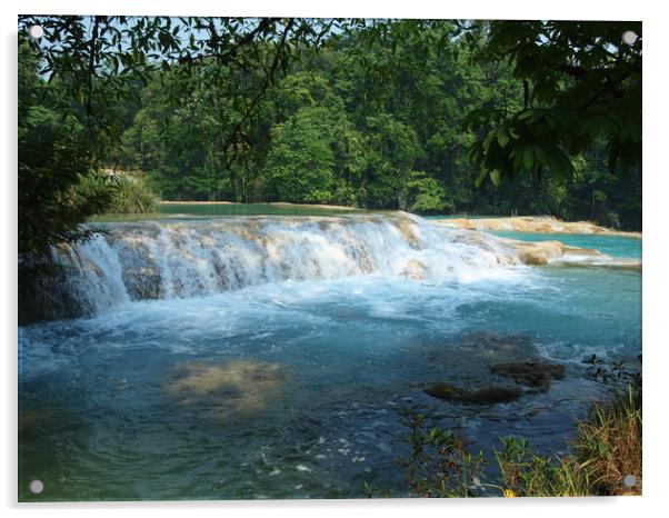 Cascadas de Agua Azul, in Mexico Acrylic by Theo Spanellis