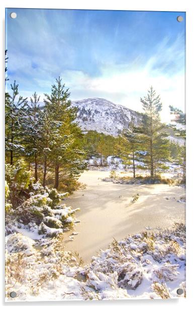 Scottish Highlands Snowy Mountain Acrylic by DHWebb Art