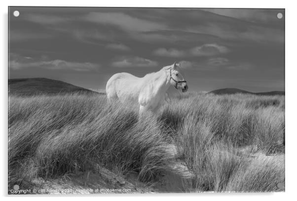 Luskentyre white horse. Acrylic by Scotland's Scenery