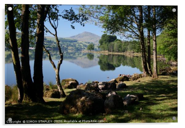 ARAN FAWDDWY AND LLYN TEGID, BALA, WALES Acrylic by SIMON STAPLEY