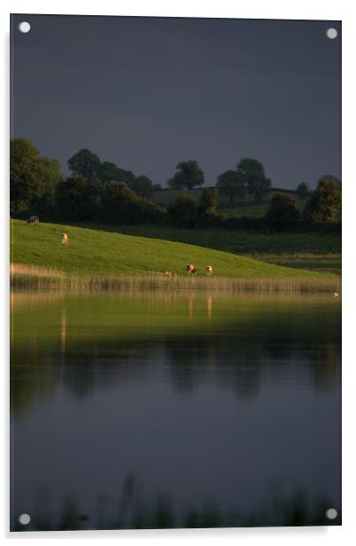 Loch and Cattle Northern Ireland Acrylic by Christopher Stores